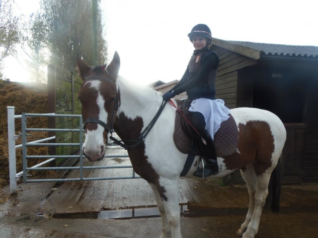 We have a selection of well mannered horses